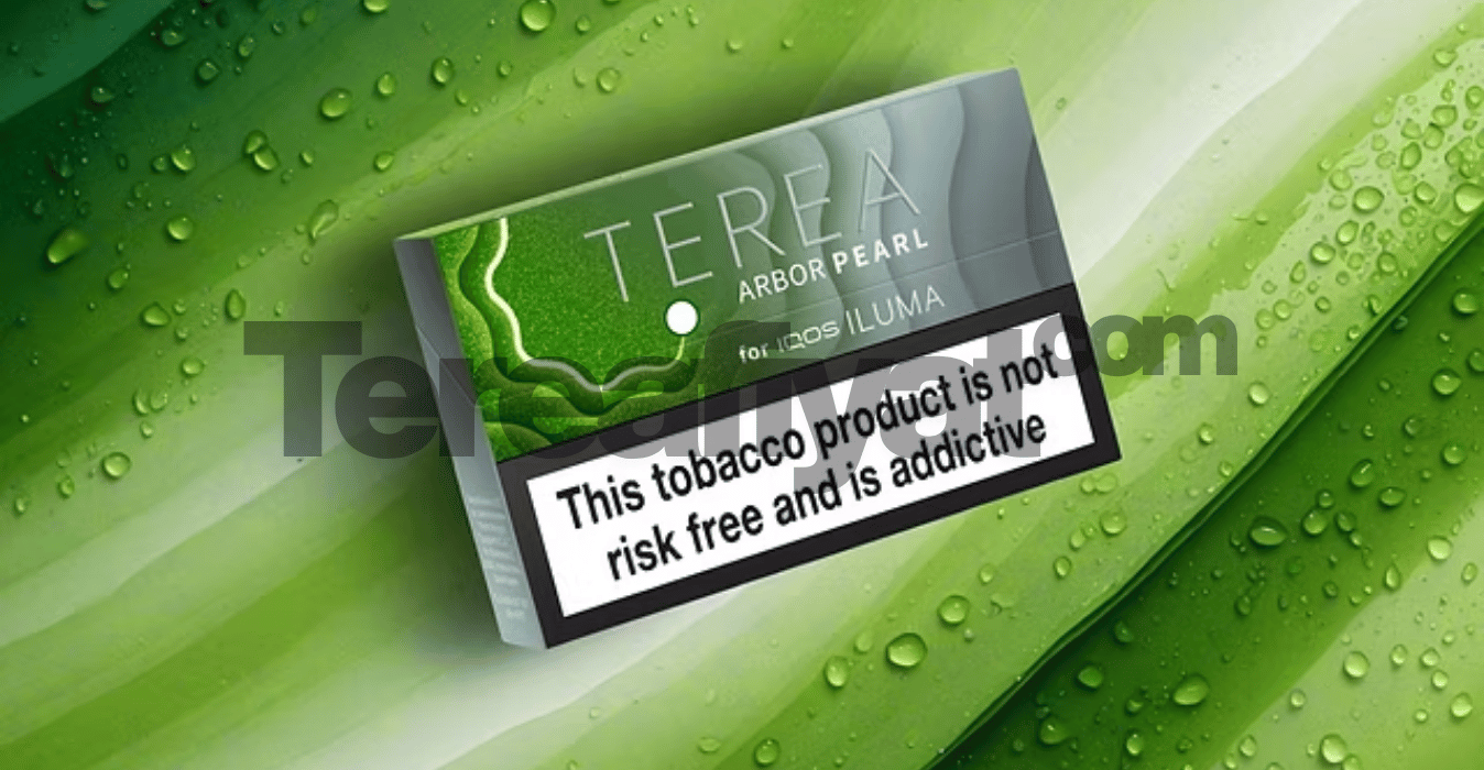Iqos Terea Arbor Pearl Sigara İnceleme